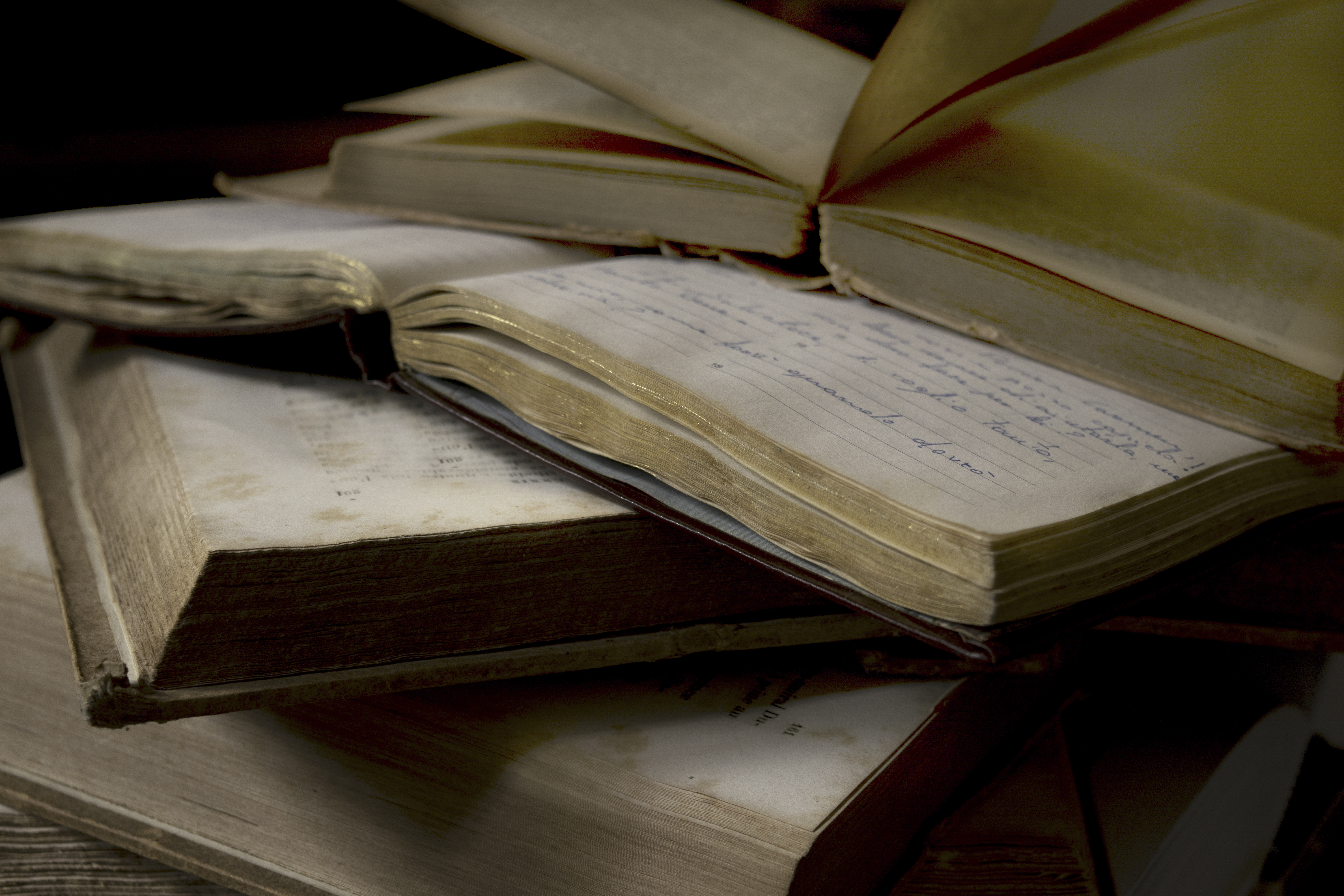 Creating Your Neurodivergent Witch Curriculum for 2026